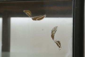 和製アンティーク　どこか懐かしさを感じる小振りで薄型の商店ガラスケース(Gケース、ショーケース、ディスプレイケース、コレクションケース、陳列棚、飾り棚、店舗什器)(R-082174)