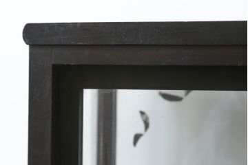 和製アンティーク　どこか懐かしさを感じる小振りで薄型の商店ガラスケース(Gケース、ショーケース、ディスプレイケース、コレクションケース、陳列棚、飾り棚、店舗什器)(R-082174)
