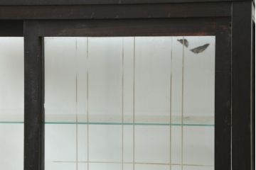 和製アンティーク　どこか懐かしさを感じる小振りで薄型の商店ガラスケース(Gケース、ショーケース、ディスプレイケース、コレクションケース、陳列棚、飾り棚、店舗什器)(R-082174)