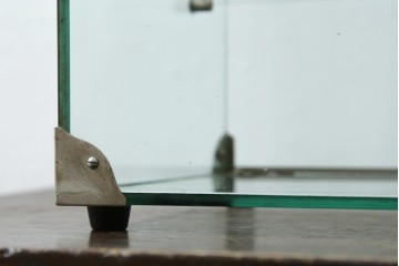 和製アンティーク　シンプルなデザインが取り入れやすい古い商店の卓上ガラスケース　(R-082175)