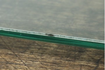 和製アンティーク　シンプルなデザインが取り入れやすい古い商店の卓上ガラスケース　(R-082175)