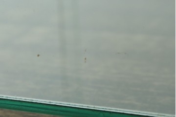 和製アンティーク　シンプルなデザインが取り入れやすい古い商店の卓上ガラスケース　(R-082175)