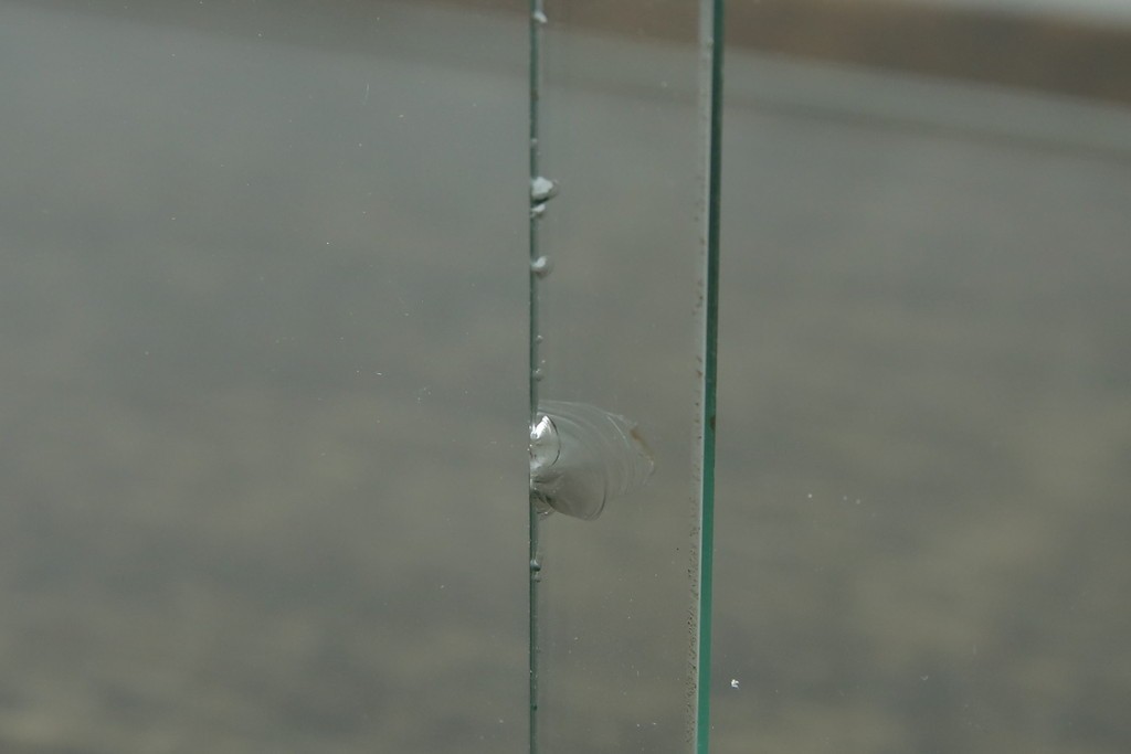 和製アンティーク　シンプルなデザインが取り入れやすい古い商店の卓上ガラスケース　(R-082175)