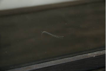 和製アンティーク　大正ロマン　天飾り付き　おしゃれなディスプレイが叶うタバコ屋さんの薄型ガラスケース　(R-082196)