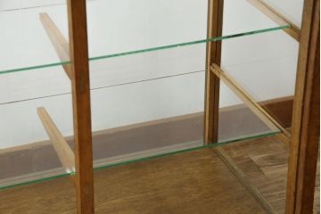 和製アンティーク　レトロな雰囲気を醸し出す木枠のガラスケース(Gケース、ショーケース、ディスプレイケース、コレクションケース、サイドキャビネット、飾り棚、陳列棚、店舗什器)(R-082198)