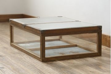 和製アンティーク　レトロな雰囲気を醸し出す木枠の卓上平置きガラスケース(Gケース、ショーケース、ディスプレイケース、コレクションケース、飾り棚、陳列棚、店舗什器、駄菓子屋)(R-082199)