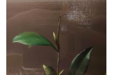 【真作】　渡辺三郎　「伊万里とわびすけ」　SM　絵画(油彩、油絵、花、花瓶、静物画、サイン入り、額装、外箱付)(R-082234)