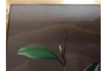 【真作】　渡辺三郎　「伊万里とわびすけ」　SM　絵画(油彩、油絵、花、花瓶、静物画、サイン入り、額装、外箱付)(R-082234)