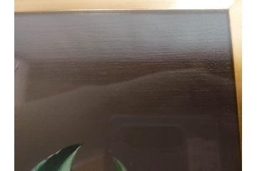 【真作】　渡辺三郎　「伊万里とわびすけ」　SM　絵画(油彩、油絵、花、花瓶、静物画、サイン入り、額装、外箱付)(R-082234)