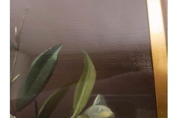 【真作】　渡辺三郎　「伊万里とわびすけ」　SM　絵画(油彩、油絵、花、花瓶、静物画、サイン入り、額装、外箱付)(R-082234)