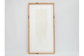 真作　2009年　並木一　「ふじ-1」　130/300　リトグラフ　絵画(花、藤、木版画、落款印、サイン入り、額装)(R-082245)