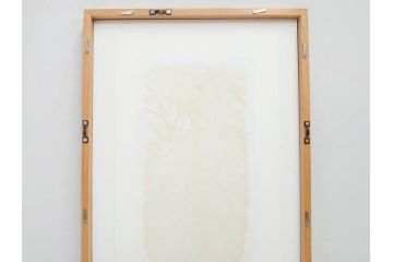 真作　2009年　並木一　「ふじ-1」　130/300　リトグラフ　絵画(花、藤、木版画、落款印、サイン入り、額装)(R-082245)