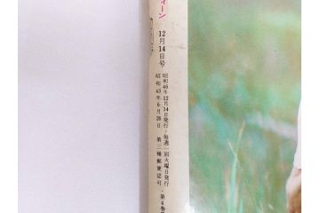 昭和46年・47年　1971・1972　週刊セブンティーン　週刊誌11冊(沢田研二、森田健作、野口五郎、フォーリーブス、近藤正臣、まんが、漫画、マンガ、女性誌、情報誌、総合雑誌、古本)(R-082246)