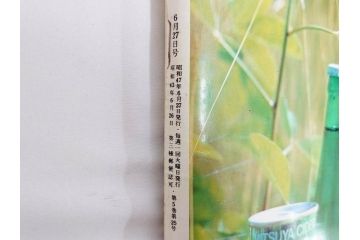 昭和47年　1972年　週刊セブンティーン　週刊誌10冊セット(野口五郎、フォーリーブス、森田健作、郷ひろみ、まんが、漫画、マンガ、女性誌、情報誌、総合雑誌、古本)(R-082248)