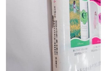 昭和48年　1973年　週刊セブンティーン　週刊誌10冊セット(野口五郎、フォーリーブス、森田健作、郷ひろみ、アグネス・チャン、西城秀樹、まんが、漫画、マンガ、女性誌、情報誌、総合雑誌、古本)(R-082250)