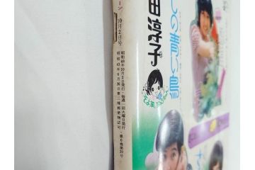 昭和48年　1973年　週刊セブンティーン　週刊誌10冊セット(野口五郎、フォーリーブス、森田健作、郷ひろみ、アグネス・チャン、西城秀樹、まんが、漫画、マンガ、女性誌、情報誌、総合雑誌、古本)(R-082250)