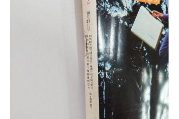 昭和48年　1973年　週刊セブンティーン　週刊誌10冊セット(野口五郎、フォーリーブス、森田健作、郷ひろみ、アグネス・チャン、西城秀樹、まんが、漫画、マンガ、女性誌、情報誌、総合雑誌、古本)(R-082250)