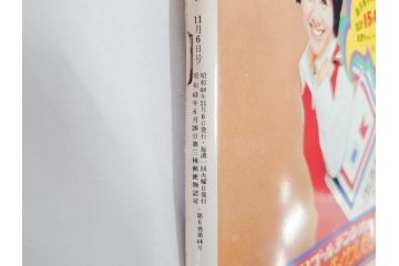 昭和48年　1973年　週刊セブンティーン　週刊誌10冊セット(野口五郎、フォーリーブス、森田健作、郷ひろみ、アグネス・チャン、西城秀樹、まんが、漫画、マンガ、女性誌、情報誌、総合雑誌、古本)(R-082250)