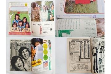 昭和48年　1973年　週刊セブンティーン　週刊誌10冊セット(野口五郎、フォーリーブス、森田健作、郷ひろみ、アグネス・チャン、西城秀樹、まんが、漫画、マンガ、女性誌、情報誌、総合雑誌、古本)(R-082250)