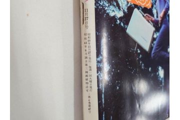 昭和48年　1973年　週刊セブンティーン　週刊誌10冊セット(野口五郎、フォーリーブス、森田健作、郷ひろみ、アグネス・チャン、西城秀樹、まんが、漫画、マンガ、女性誌、情報誌、総合雑誌、古本)(R-082250)