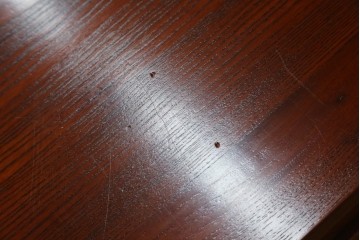 中古　美品　松本伝統　指物工芸家具　総欅(ケヤキ)材　漆塗り　落ち着いた雰囲気の上質な文机　定価約30万円　(R-082251)