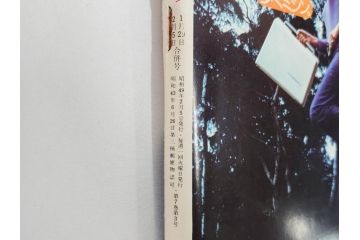 昭和49年　1974年　週刊セブンティーン　週刊誌9冊セット(野口五郎、フォーリーブス、森田健作、郷ひろみ、西城秀樹、まんが、漫画、マンガ、女性誌、情報誌、総合雑誌、古本)(R-082266)