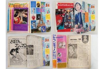 昭和47年・48年　1972・1973　別冊　月刊セブンティーン　少女雑誌12冊セット(野口五郎、フォーリーブス、森田健作、郷ひろみ、西城秀樹、沢田研二、西谷祥子、まんが、漫画、マンガ、女性誌、情報誌、総合雑誌、古本)(R-082267)
