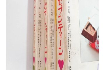 昭和47年・48年　1972・1973　別冊　月刊セブンティーン　少女雑誌12冊セット(野口五郎、フォーリーブス、森田健作、郷ひろみ、西城秀樹、沢田研二、西谷祥子、まんが、漫画、マンガ、女性誌、情報誌、総合雑誌、古本)(R-082267)