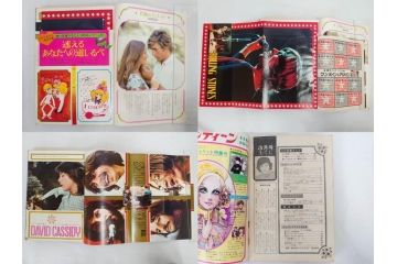 昭和47年・48年　1972・1973　別冊　月刊セブンティーン　少女雑誌12冊セット(野口五郎、フォーリーブス、森田健作、郷ひろみ、西城秀樹、沢田研二、西谷祥子、まんが、漫画、マンガ、女性誌、情報誌、総合雑誌、古本)(R-082267)