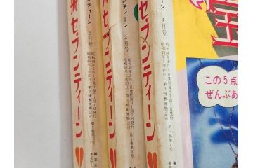 昭和47年・48年　1972・1973　別冊　月刊セブンティーン　少女雑誌12冊セット(野口五郎、フォーリーブス、森田健作、郷ひろみ、西城秀樹、沢田研二、西谷祥子、まんが、漫画、マンガ、女性誌、情報誌、総合雑誌、古本)(R-082267)