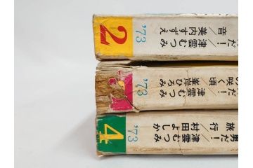 昭和47年・48年　1972・1973　別冊　月刊セブンティーン　少女雑誌12冊セット(野口五郎、フォーリーブス、森田健作、郷ひろみ、西城秀樹、沢田研二、西谷祥子、まんが、漫画、マンガ、女性誌、情報誌、総合雑誌、古本)(R-082267)