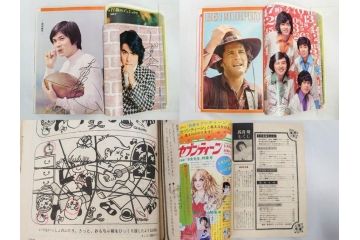 昭和47年・48年　1972・1973　別冊　月刊セブンティーン　少女雑誌12冊セット(野口五郎、フォーリーブス、森田健作、郷ひろみ、西城秀樹、沢田研二、西谷祥子、まんが、漫画、マンガ、女性誌、情報誌、総合雑誌、古本)(R-082267)