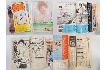昭和47年・48年　1972・1973　別冊　月刊セブンティーン　少女雑誌12冊セット(野口五郎、フォーリーブス、森田健作、郷ひろみ、西城秀樹、沢田研二、西谷祥子、まんが、漫画、マンガ、女性誌、情報誌、総合雑誌、古本)(R-082267)
