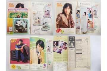 昭和47年・48年　1972・1973　別冊　月刊セブンティーン　少女雑誌12冊セット(野口五郎、フォーリーブス、森田健作、郷ひろみ、西城秀樹、沢田研二、西谷祥子、まんが、漫画、マンガ、女性誌、情報誌、総合雑誌、古本)(R-082267)