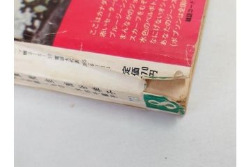 昭和47年・48年　1972・1973　別冊　月刊セブンティーン　少女雑誌12冊セット(野口五郎、フォーリーブス、森田健作、郷ひろみ、西城秀樹、沢田研二、西谷祥子、まんが、漫画、マンガ、女性誌、情報誌、総合雑誌、古本)(R-082267)