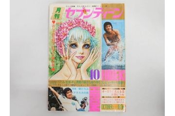 昭和47年・48年　1972・1973　別冊　月刊セブンティーン　少女雑誌12冊セット(野口五郎、フォーリーブス、森田健作、郷ひろみ、西城秀樹、沢田研二、西谷祥子、まんが、漫画、マンガ、女性誌、情報誌、総合雑誌、古本)(R-082267)