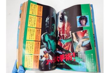 昭和49年　1974年　テレビマガジン 11月号・12月号　テレビ雑誌2冊セット(仮面ライダーアマゾン、グレートマジンガー、トランプ、講談社、ブロマイド、スタンド、情報誌、古本)(R-082272)