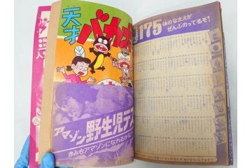 昭和50年　1975年　テレビマガジン 1月号　増刊　アマゾンライダー　天才バカボン　テレビ雑誌(仮面ライダー、ブロマイド、トランプ、情報誌、古本)(R-082273)