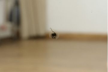 イギリスアンティーク　希少!!　高級品!!　オーク材　手の込んだ彫刻が目を引く重厚で大振りなドリンクサーバーキャビネット(サイドボード、サイドキャビネット、飾り棚、収納棚、戸棚、食器棚、カップボード、カクテルキャビネット)(R-082280)