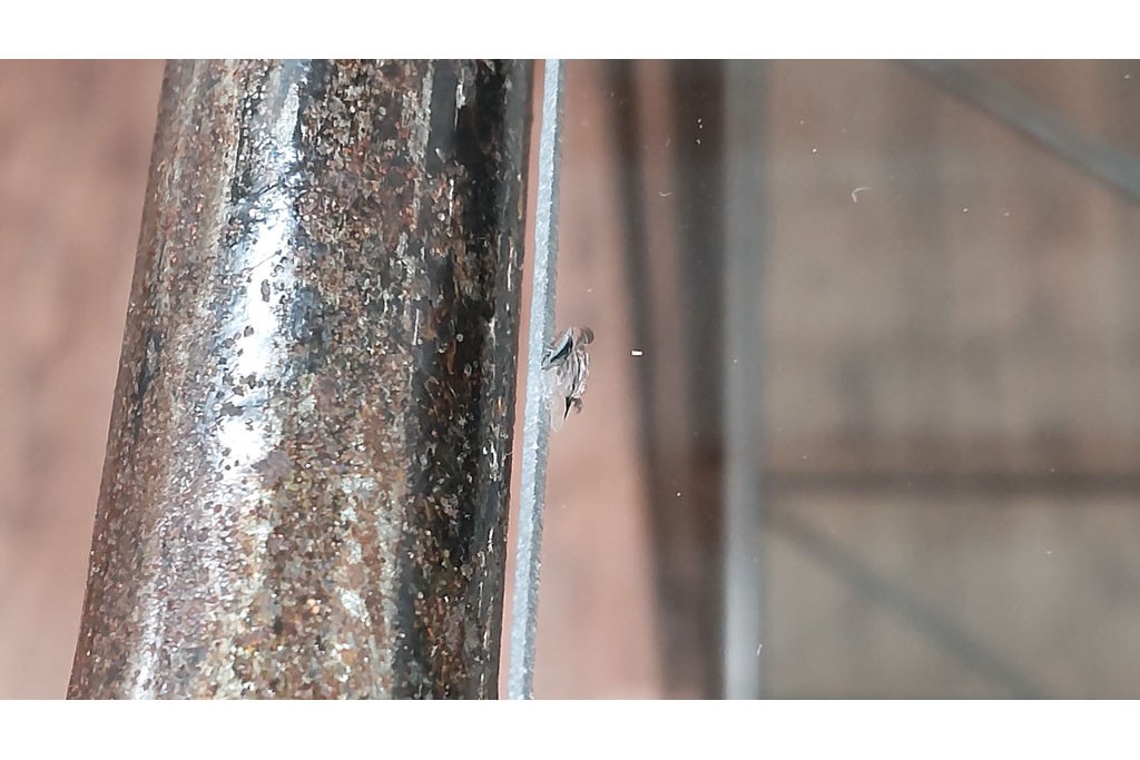 中古　アイアン製　アンティーク調　インダストリアルデザインの無骨な雰囲気がおしゃれな縦型Gケース　(R-082349)