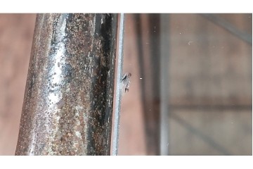 中古　アイアン製　アンティーク調　インダストリアルデザインの無骨な雰囲気がおしゃれな縦型Gケース　(R-082349)