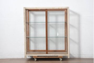 和製アンティーク　ペイント　薄型サイズでお部屋に取り入れやすい木枠ガラスケース(ショーケース、Gケース、ディスプレイケース、コレクションケース、飾り棚、陳列棚、店舗什器)(R-082369)