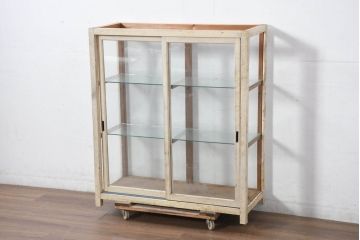 和製アンティーク　ペイント　薄型サイズでお部屋に取り入れやすい木枠ガラスケース(ショーケース、Gケース、ディスプレイケース、コレクションケース、飾り棚、陳列棚、店舗什器)(R-082369)