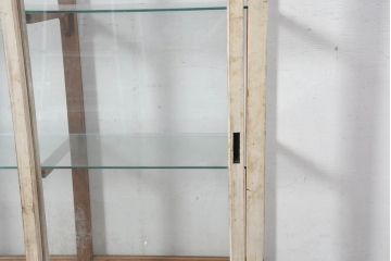 和製アンティーク　ペイント　薄型サイズでお部屋に取り入れやすい木枠ガラスケース(ショーケース、Gケース、ディスプレイケース、コレクションケース、飾り棚、陳列棚、店舗什器)(R-082369)