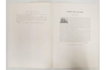 アダチ版画研究所　五都美術社　浮世絵版画撰集　版画7点セット(歌川豊国、豊春、一筆斎文調、葛飾北斎、奥村政信、懐月堂度繁、鳥居清倍)(R-082522)
