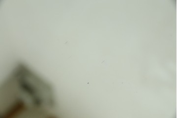 和製アンティーク　戦前　昭和レトロなロゴが懐かしいミラー　(R-082588)