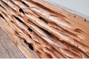 アンティーク建具　特大!!　杉材を贅沢に使った存在感のある二間物の欄間1枚(明かり取り、明り取り)(R-082590)