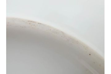 オールドノリタケ　NORITAKE　金彩　花　ハンドル付　柔らかな色彩が美しいボウル(M-NIPPON印、風景、ハンドペイント、プレート、深皿、洋食器)(R-082747)