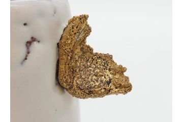 三輪和彦(十三代 三輪休雪)　匠の趣向が光る金耳盃(萩焼、耳付、杯、酒器、裏印、ウコン布付き、共箱付き)(R-082753)