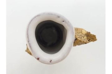三輪和彦(十三代 三輪休雪)　匠の趣向が光る金耳盃(萩焼、耳付、杯、酒器、裏印、ウコン布付き、共箱付き)(R-082753)